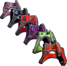 Load image into Gallery viewer, Sports Harness