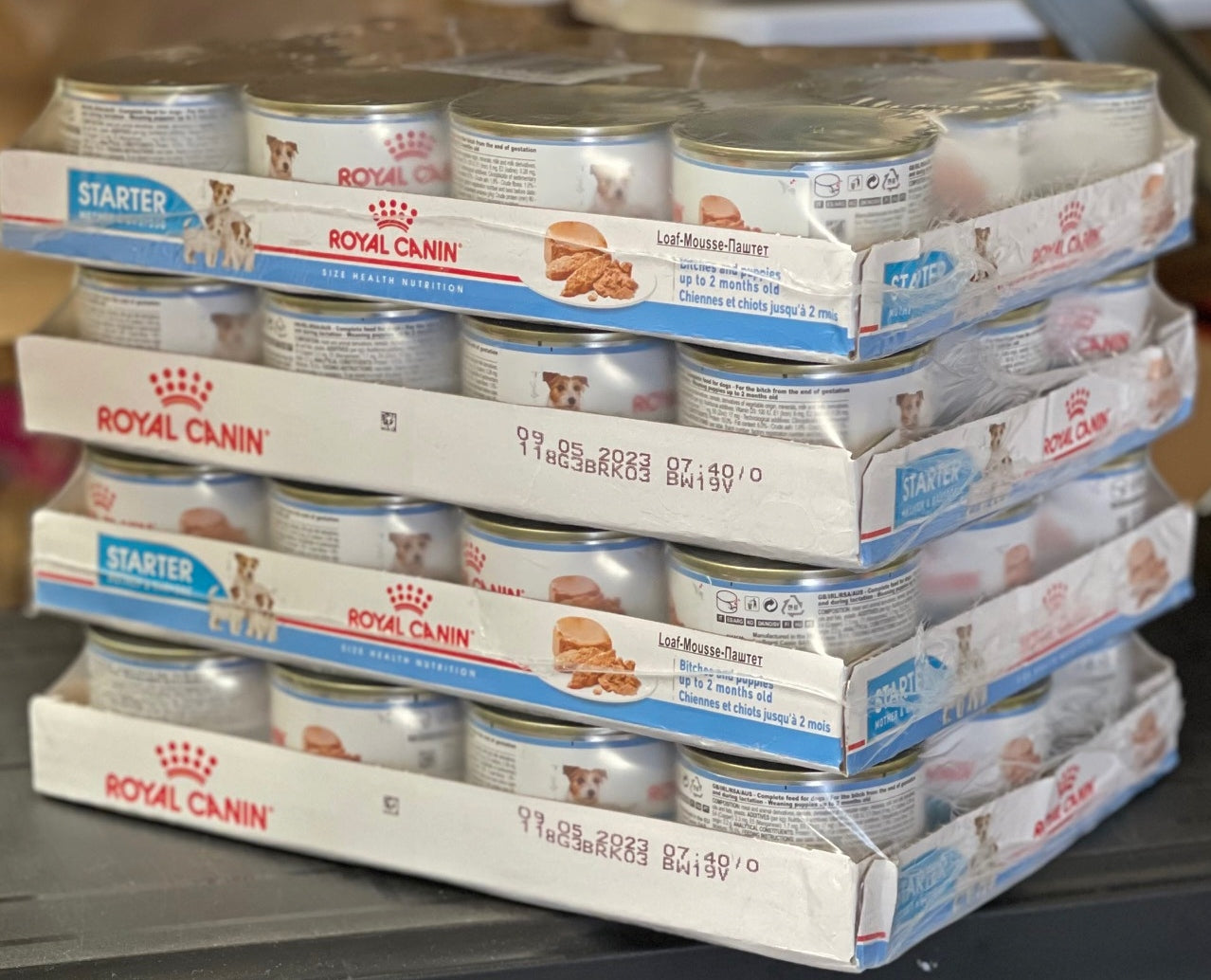 Royal canin best sale tin food