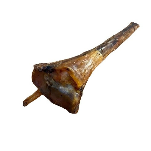 Air Dried Ostrich Bone