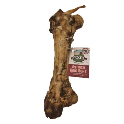 Paddock Farm Ostrich Metatarsus Bone