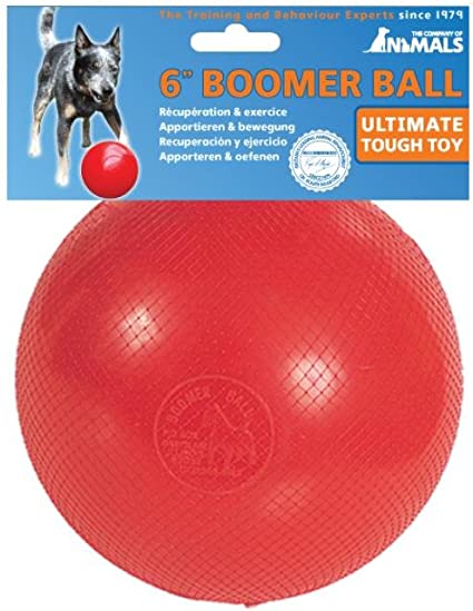 Boomer Ball Toy 10